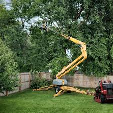 Best Seasonal Cleanup (Spring/Fall)  in Santa Clara, UT